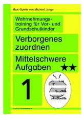 Maxi-Spiele Verborgenes zuordnen W1.pdf